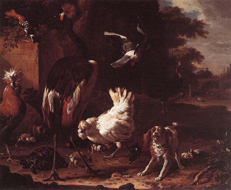 HONDECOETER, Melchior d Birds and a Spaniel in a Garden sf France oil painting art